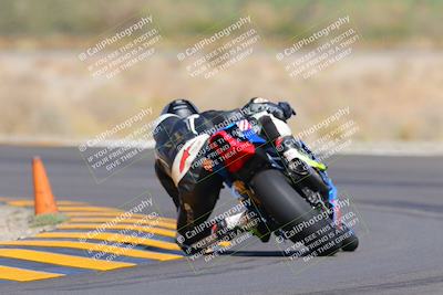 media/Oct-09-2022-SoCal Trackdays (Sun) [[95640aeeb6]]/Turn 14 Backside (1125am)/